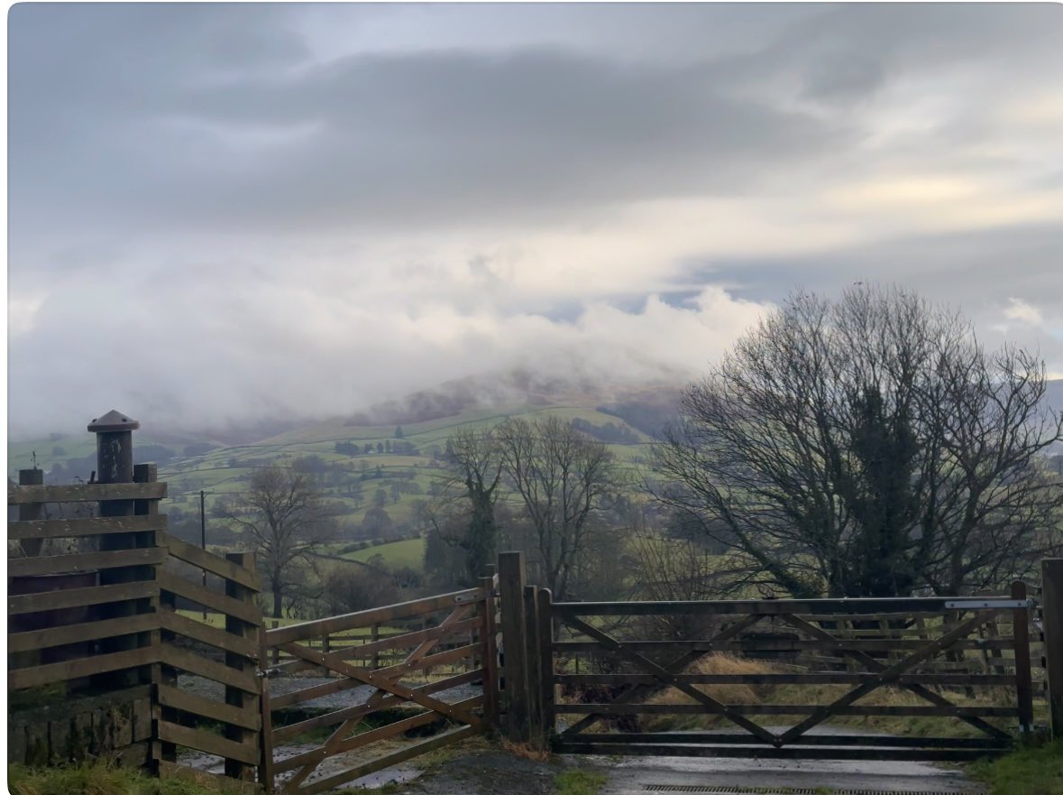 Alison O’Neill ~ Shepherdess tweet media