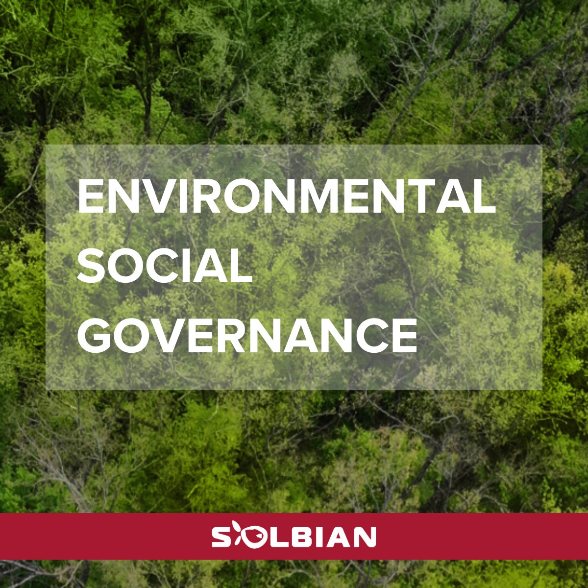 At Solbian, we're committed to driving the transition to a #sustainableenergy system through #innovation and ethical practices. Our latest sustainability report showcases the environmental, social and governance impact of our activities. Read the report: bit.ly/3VjOd23