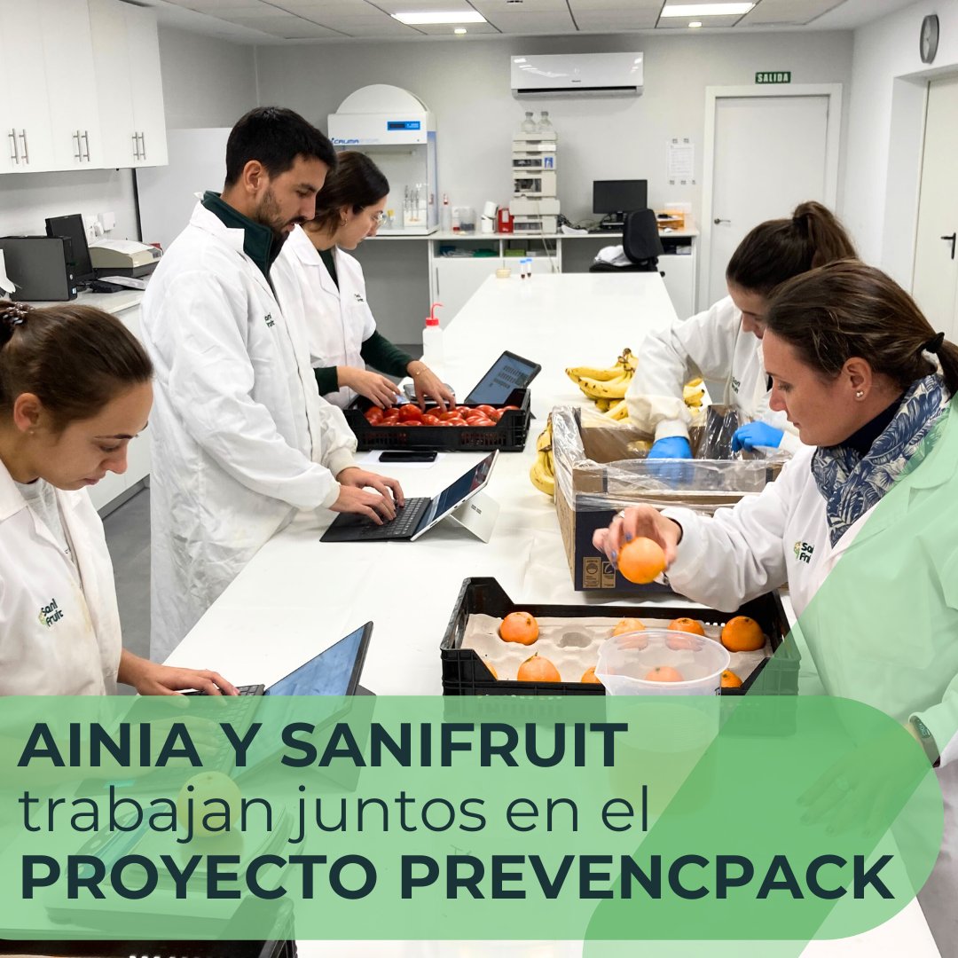 🔬 Nuestro equipo de I+D+I, liderado por Erica Biel, trabaja junto a <a href="/ainiatecnologia/">ainia</a>  en el #ProyectoPrevencPack, para desarrollar recubrimientos y envases comestibles ℹ️ Os contamos más ➡️ sge.st/2xOkvtH ⬅️ #Sanifruit #postcosecha #agriculturasostenible #poscosecha