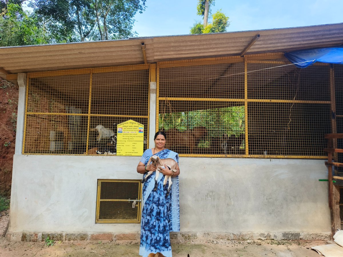 MGNREGA-DAKSHINAKANNADA (@mgnregadakshin1) on Twitter photo ಉಮಾವತಿಯವರ ಆಡುಗಳಿಗೆ ಸೂರು ಕಲ್ಪಿಸಿಕೊಟ್ಟ ನರೇಗಾ..
ಮೂಡುಕೋಡಿ ಗ್ರಾಮದ ಉಮಾವತಿ- ಗಂಗಯ್ಯ ಮೂಲ್ಯ ದಂಪತಿಗಳು ತಮ್ಮ ಜಮೀನಿನಲ್ಲಿ #ನರೇಗಾ ಯೋಜನೆಯಡಿ #ಆಡು ಶೆಡ್ ನಿರ್ಮಿಸಿಕೊಂಡಿದ್ದಾರೆ.
ತಾ: #ಬೆಳ್ತಂಗಡಿ
ಗ್ರಾ.ಪಂ: ವೇಣೂರು
<a href="/ZP_DaksnKannada/">Dakshina Kannada Zilla Panchayat</a> <a href="/TalukuB/">Taluku panchayath Belthangady(MGNREGA)</a> #dakshinakannada #goatshed #GOAT ಉಮಾವತಿಯವರ ಆಡುಗಳಿಗೆ ಸೂರು ಕಲ್ಪಿಸಿಕೊಟ್ಟ ನರೇಗಾ..
ಮೂಡುಕೋಡಿ ಗ್ರಾಮದ ಉಮಾವತಿ- ಗಂಗಯ್ಯ ಮೂಲ್ಯ ದಂಪತಿಗಳು ತಮ್ಮ ಜಮೀನಿನಲ್ಲಿ #ನರೇಗಾ ಯೋಜನೆಯಡಿ #ಆಡು ಶೆಡ್ ನಿರ್ಮಿಸಿಕೊಂಡಿದ್ದಾರೆ.
ತಾ: #ಬೆಳ್ತಂಗಡಿ
ಗ್ರಾ.ಪಂ: ವೇಣೂರು
<a href="/ZP_DaksnKannada/">Dakshina Kannada Zilla Panchayat</a> <a href="/TalukuB/">Taluku panchayath Belthangady(MGNREGA)</a> #dakshinakannada #goatshed #GOAT