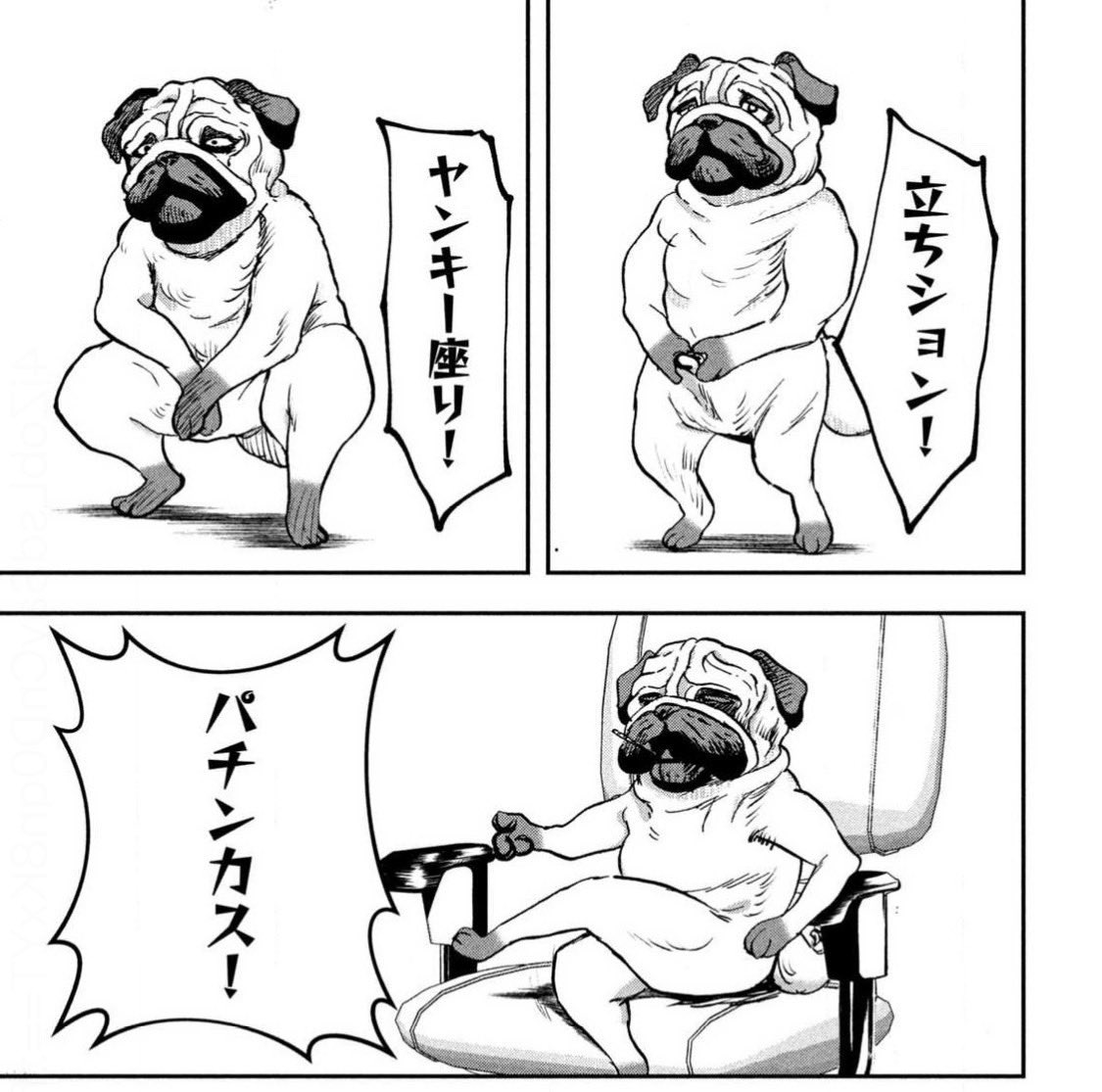 #INNUイッヌ
第①巻発売まであと【三日】‼️

カメラを向けられた時のイッヌ 