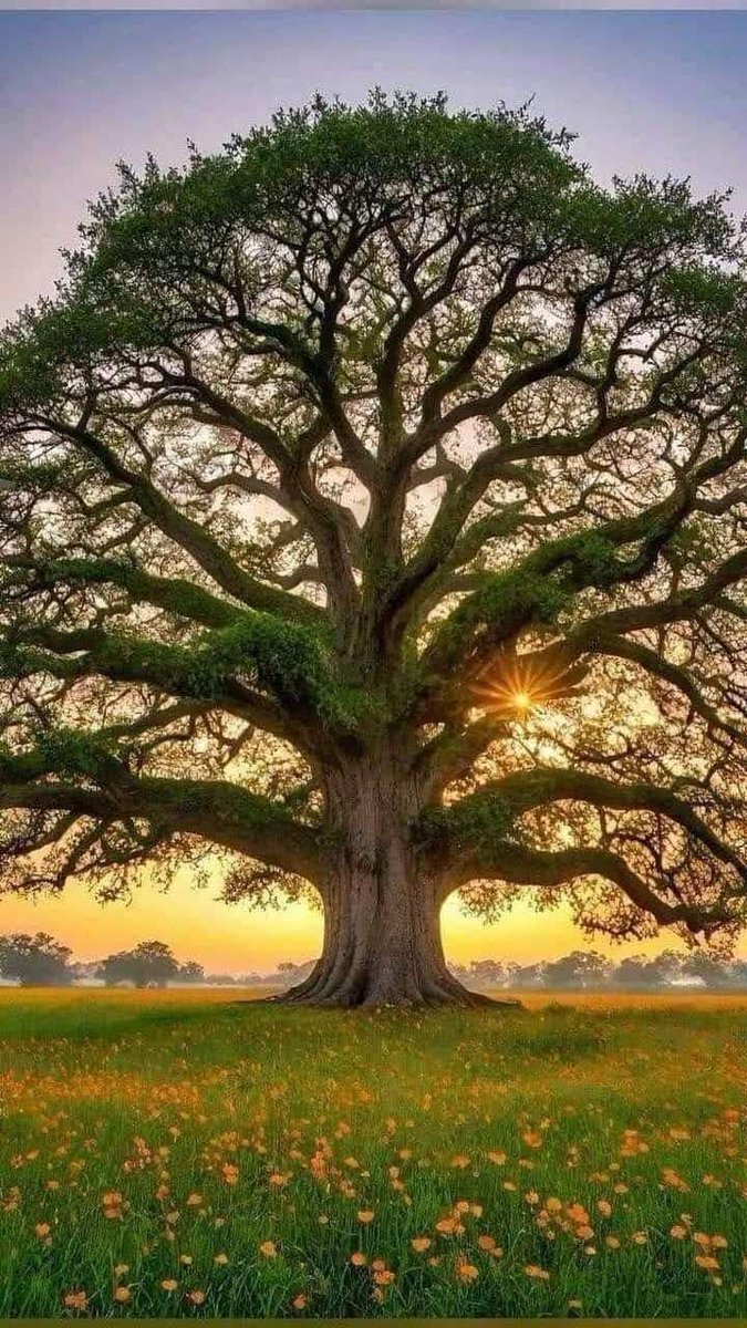 Buenos días 💕 lindo martes 🌍🤗👍