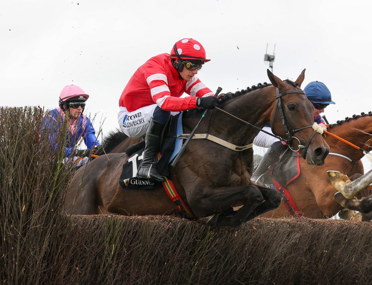 Goffs Dec NH Sale features 20 blacktype mares, inc. Grade 1 winners Marie's Rock &amp; Brandy Love, Grade 2 winners Harmonya Maker &amp; Ifyoucatchmenow, and Listed winners Liberty Dance, Ardera Ru &amp; Pink In The Park. Also featured are sisters to I Am Maximus, Appreciate It, 𝒆𝒕𝒄.