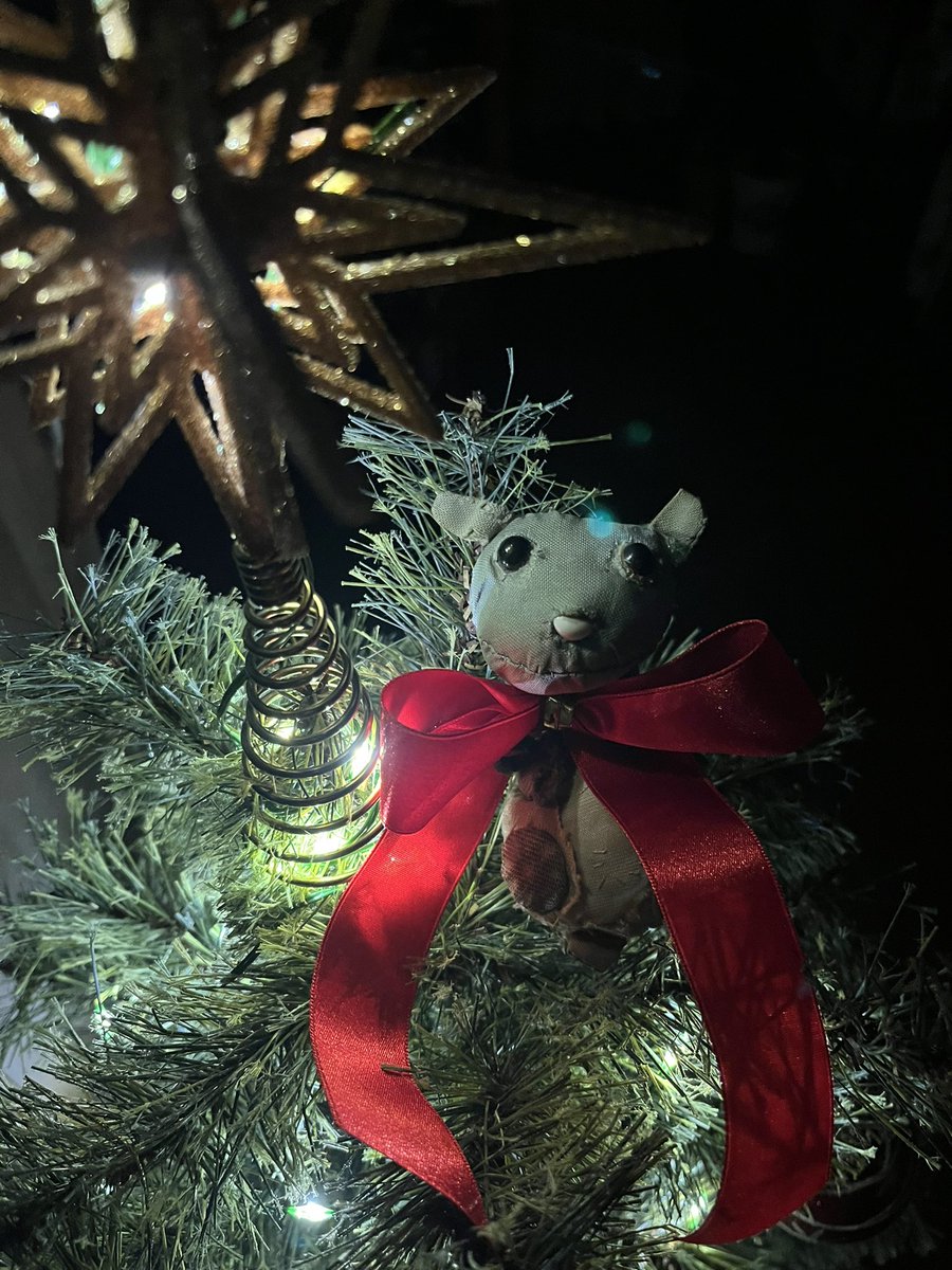 gureimeme's tweet photo. クリスマスツリーに鎮座するめめ王様🐭
クリスマスのおめかしリボン、お似合いでかわいいわ〜🎀 https://t.co/HEptL0RxI6