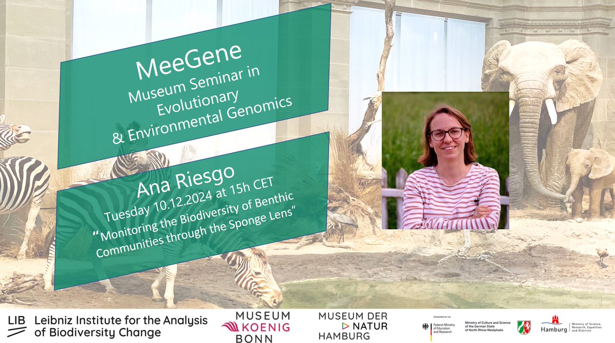 We are happy to host Dr. Ana Riesgo <a href="/anariesgogil/">Ana Riesgo 👩🏽‍🔬🧬🔬</a> from the <a href="/mncn_csic/">Museo Nacional de Ciencias Naturales</a> for our #MeeGene <a href="/Leibniz_LIB/">LIB</a> seminar 10.12.2024 15h CET. "Monitoring the Biodiversity of Benthic Communities through the Sponge Lens." To join, drop us an email meegene@leibniz-lib.de