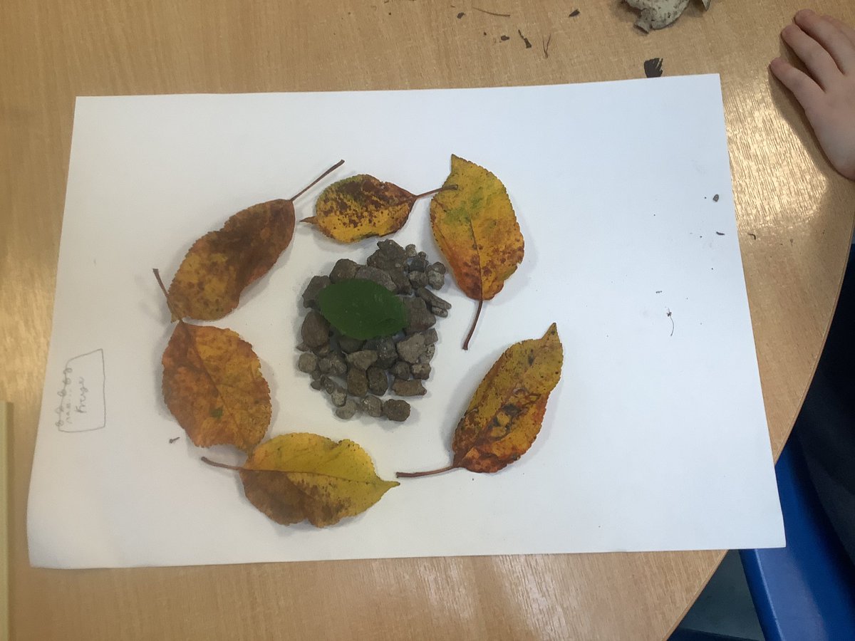 @oli_year2 tweet media