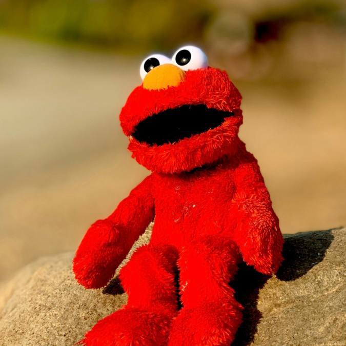 Sparrowirs's tweet photo. @cryptogems555 $ELMO isn’t just a token it’s the future of wealth creation
CA:
GUay2sbTzeanKsQK1coWSzoQXDRUw9mbnfb1gVMLpump https://t.co/rmV23aCPTk