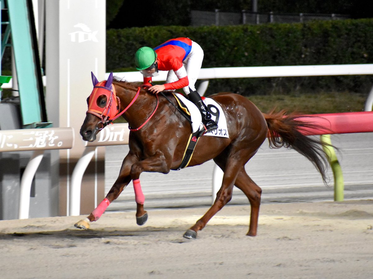 <a href="/run_like_wind/">馬の友舎🌟🐴✨</a> 読み込みエラー出てたの
修復できたので
こちらもどうぞです👍