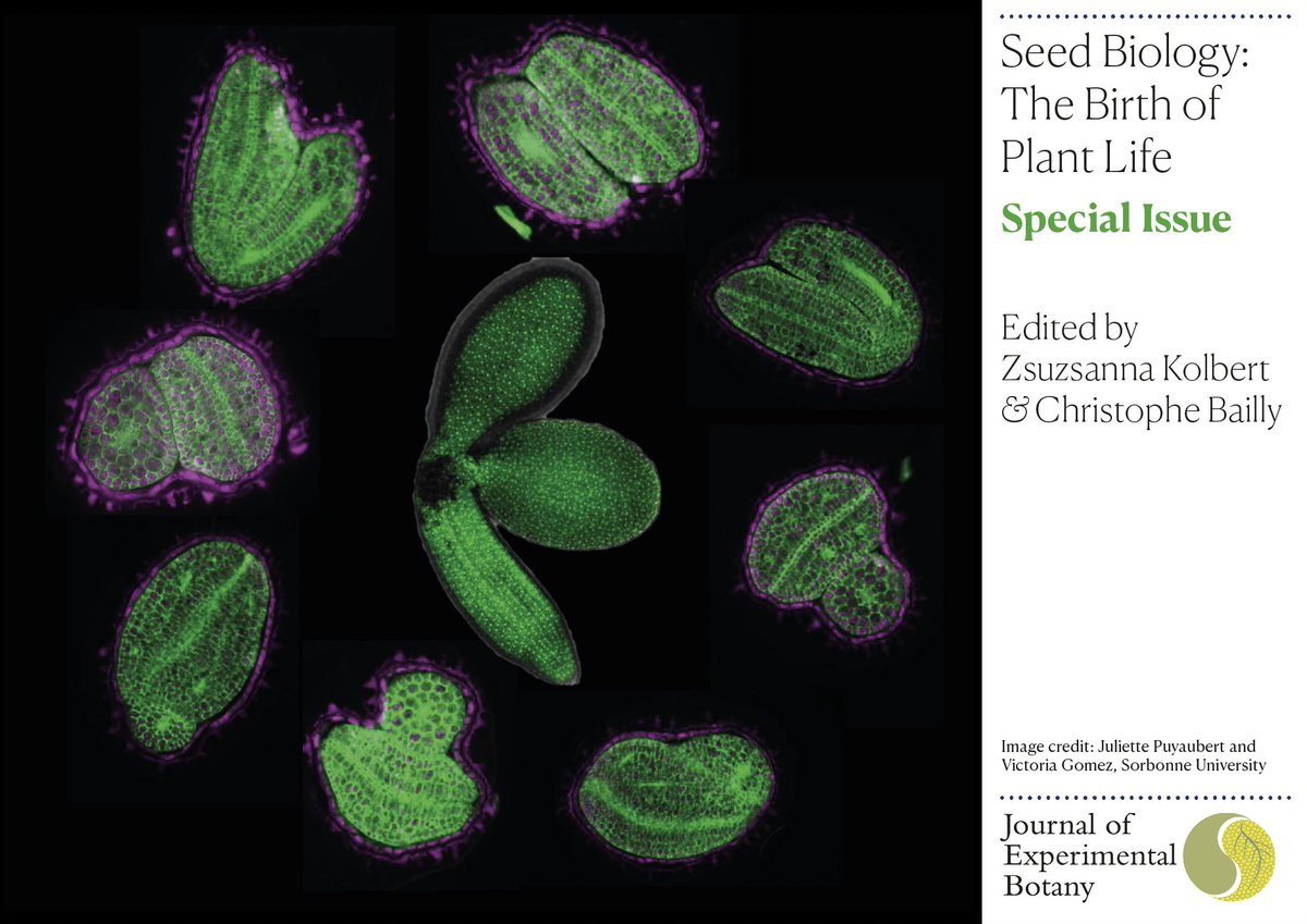 JXB @jxbotany.bsky.social tweet media