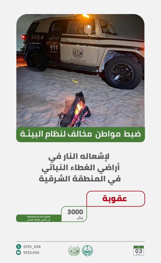 الصورة