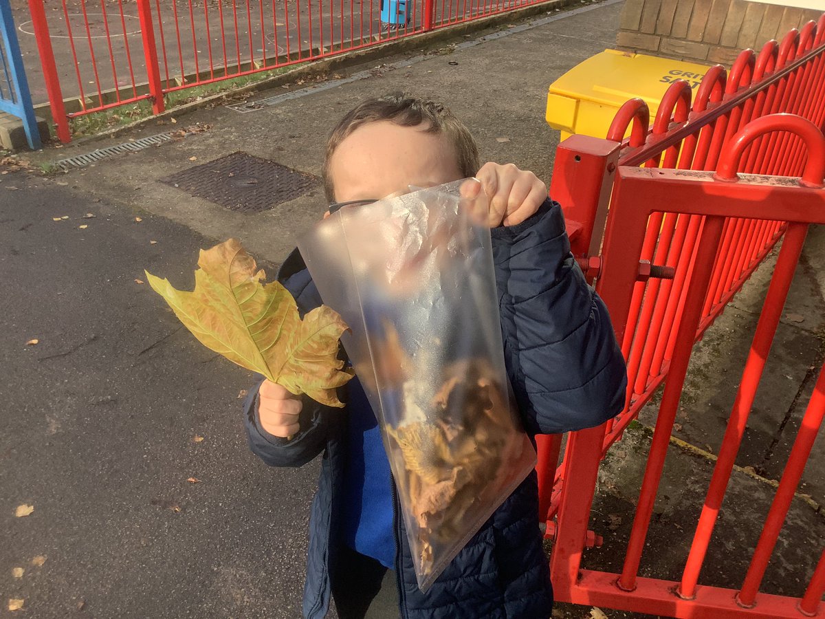 @oli_year2 tweet media