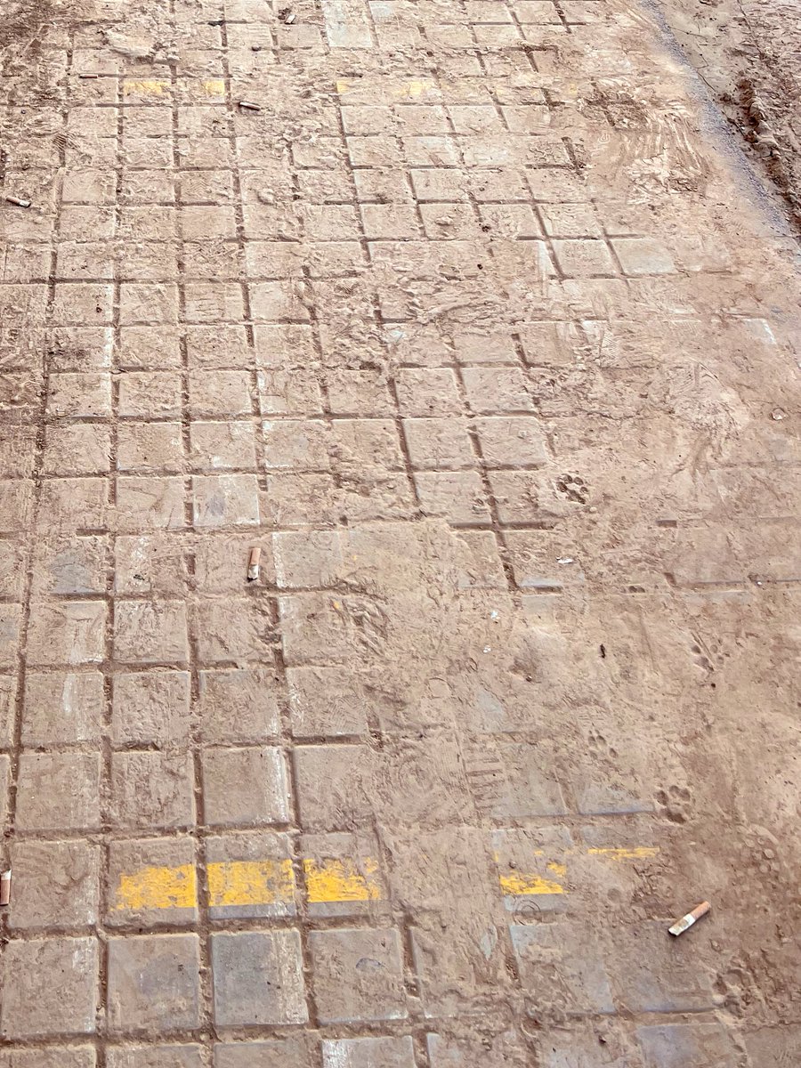 Sobre las líneas amarillas para guardar la distancia del COVID, en un centro de salud de L’horta sud, se acumula el barro de la DANA. 
Vivimos momentos históricos por encima de nuestras posibilidades.