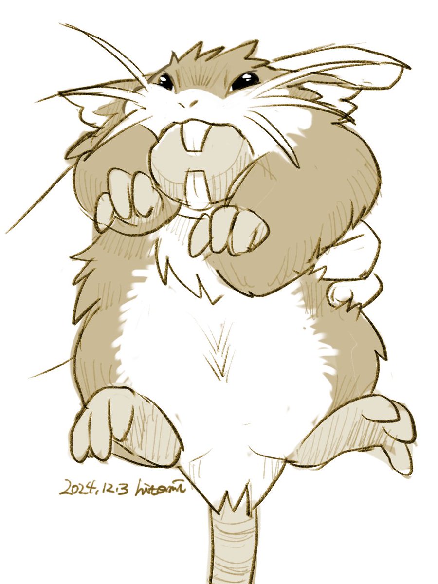 EcdUu's tweet image. Finders Keepers🐀