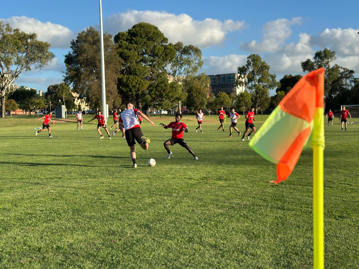 Adelaide Comets FC tweet media