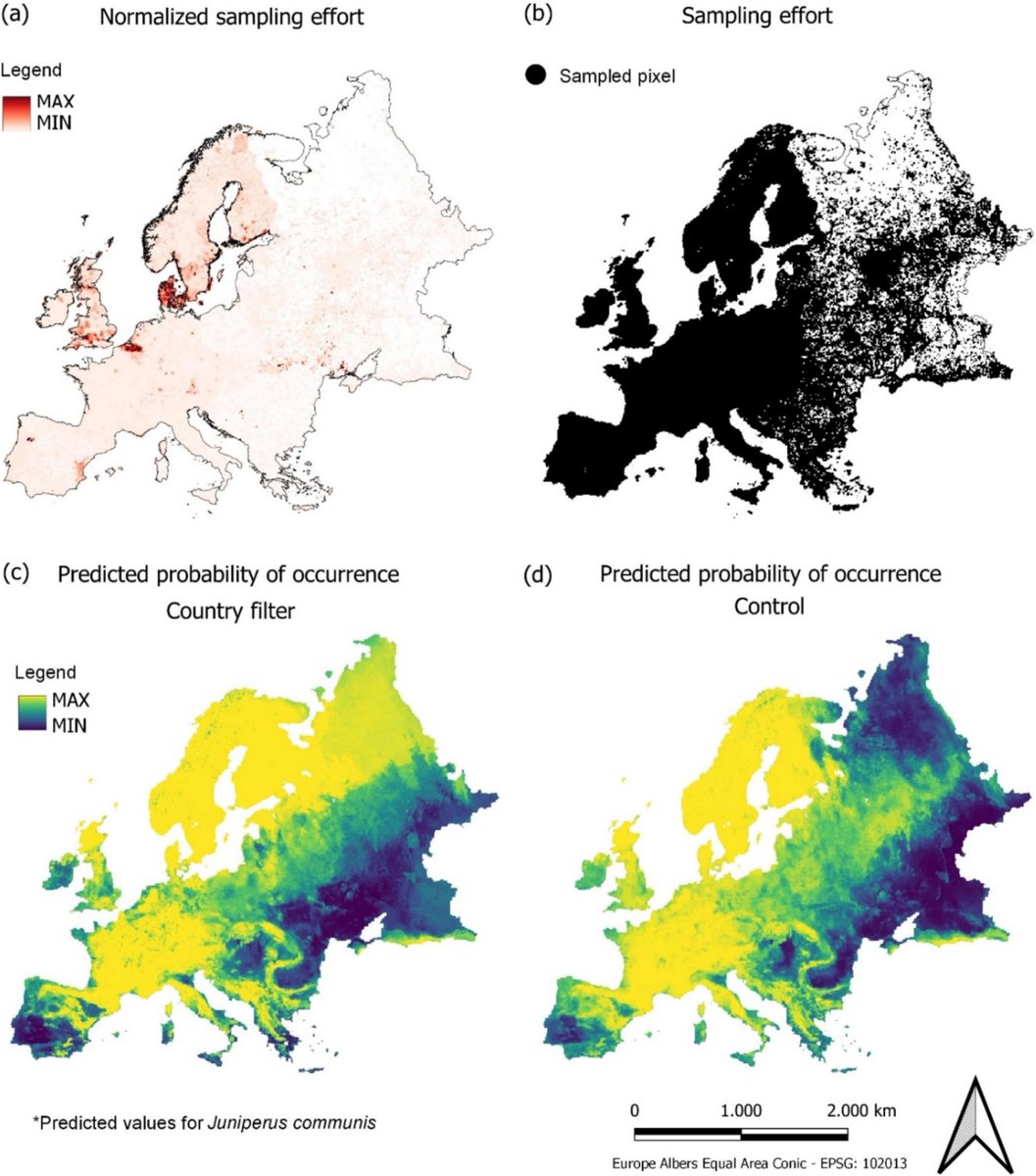Claudio Açaí Bracho Estévanez tweet media