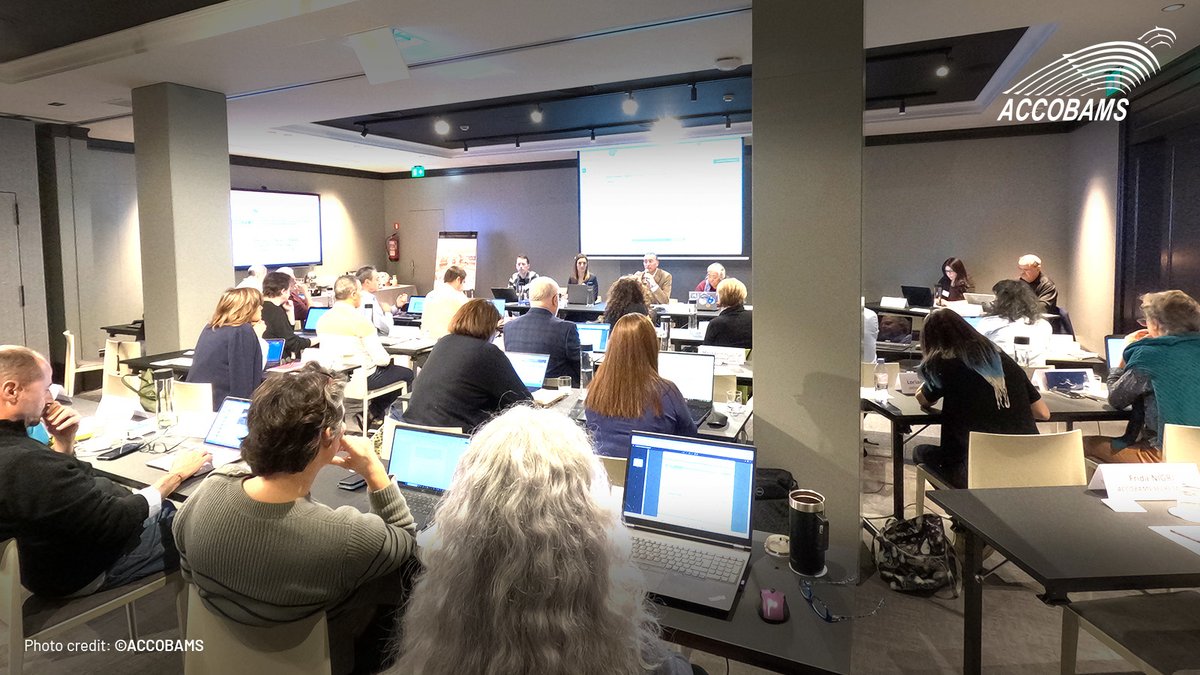 The ACCOBAMS Scientific Committee is in Barcelona for SC16! Following the 2023 Tunis meeting, we continue essential work: cetacean conservation, research, and advising the Parties. 

Stay tuned for SC16 outcomes! 🌍📢

#ACCOBAMS #SC16 #MarineConservation