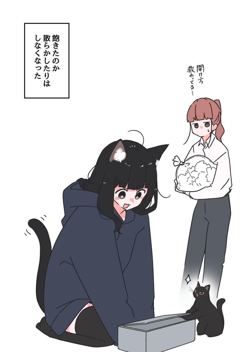 ティッシュで遊ぶ黒猫のお話(3/3) 