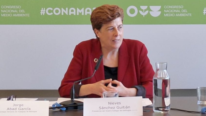 Farmaceuticos_'s tweet photo. Para @nsguitian, presidenta del @cgeologos y vicesecretaria general de @UProfesional, es necesario avanzar hacia una mayor resiliencia para hacer frente a los desafíos medioambientales a los que se enfrentan la sociedad y las organizaciones. 

#CONAMA2024 https://t.co/Z3pRfhGcz1