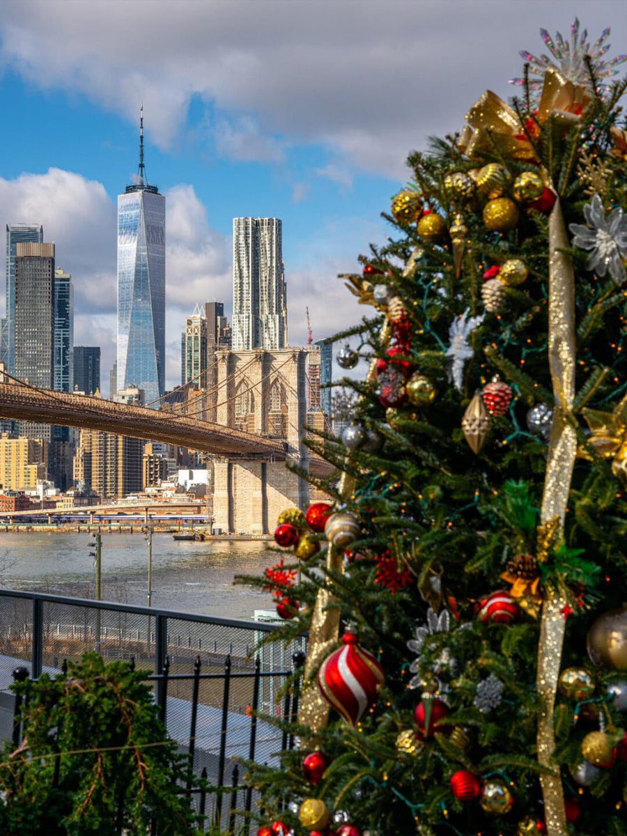 Mavecsfherty's tweet image. 2024 New York Christmas🎄The most complete activities! Gather! Come on🤩