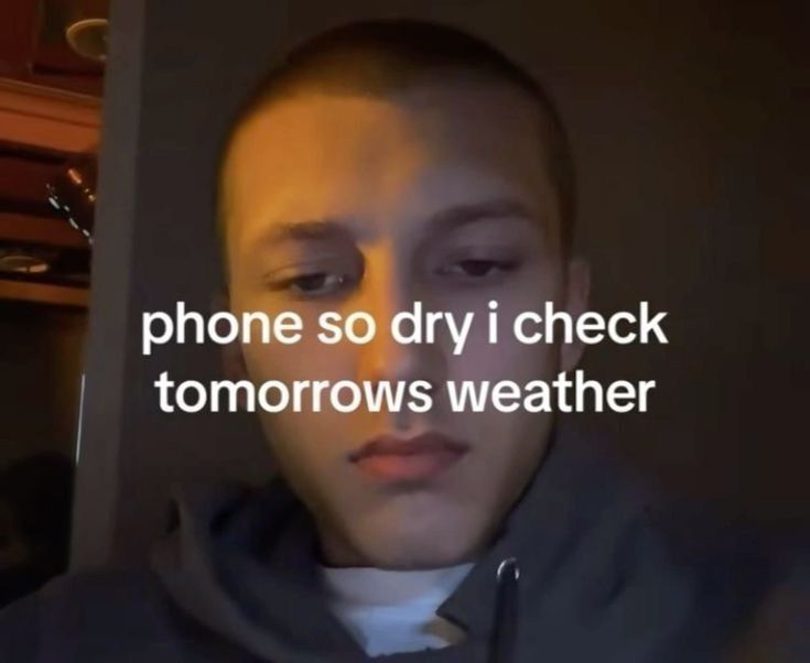 Wild TikToks tweet media