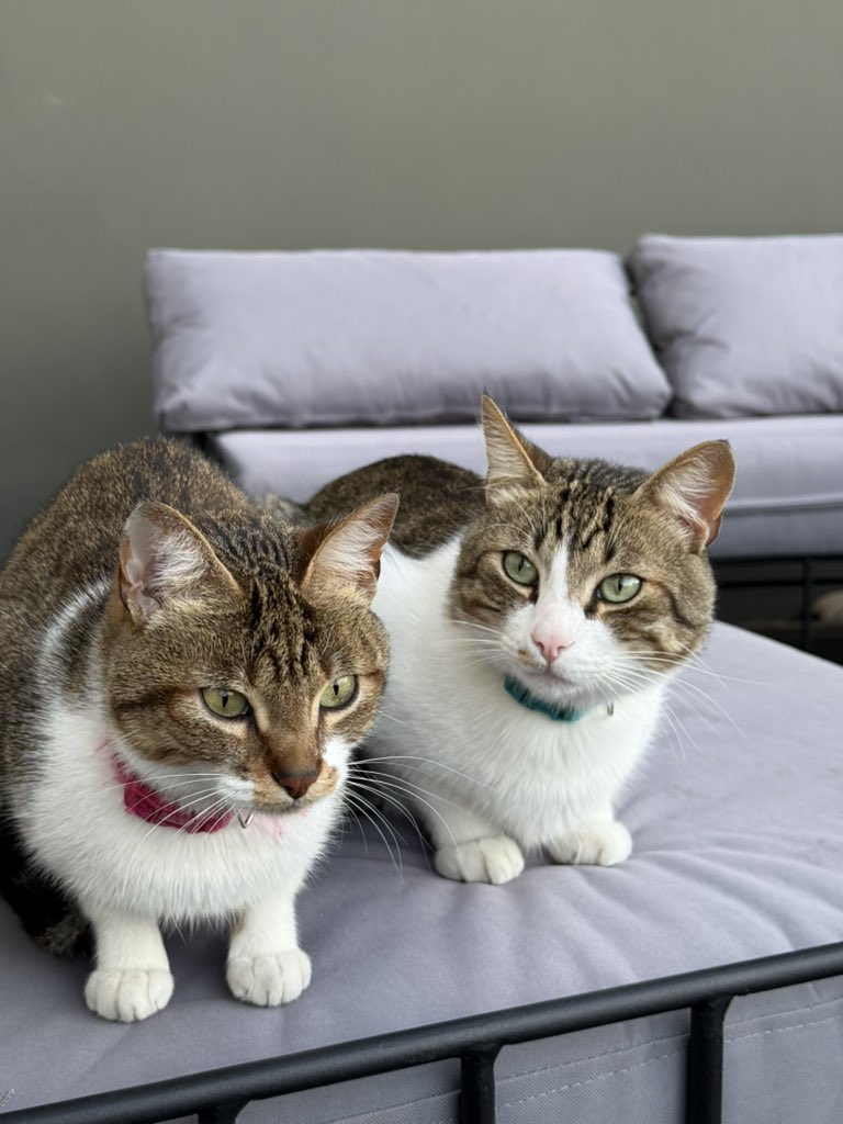 Sebastien 🏞 tweet media