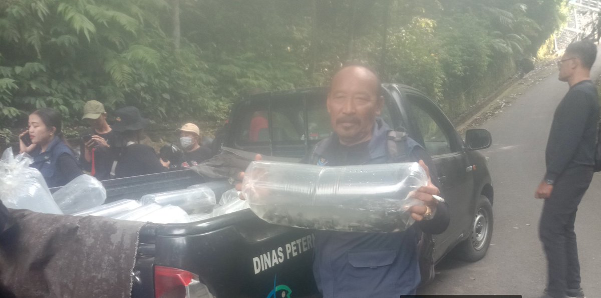 paramarta080's tweet photo. Jumat (1/11),I Gede Putu Paramarta,Luhkan Kab Bangli di POKDAKAN Merta Sari Depayuk Desa Apuan, mendampingi Panen Benih nila 10.000 ekor, ukuran 9 cm,luas kolam  300,dengan harga 500/ekor
#GiatLuhkanSatminkalGONDOL 
#Bangli
#Panen
@bppsdm_puslatkp 
@bppsdm_gondol https://t.co/cyBALGz8aI