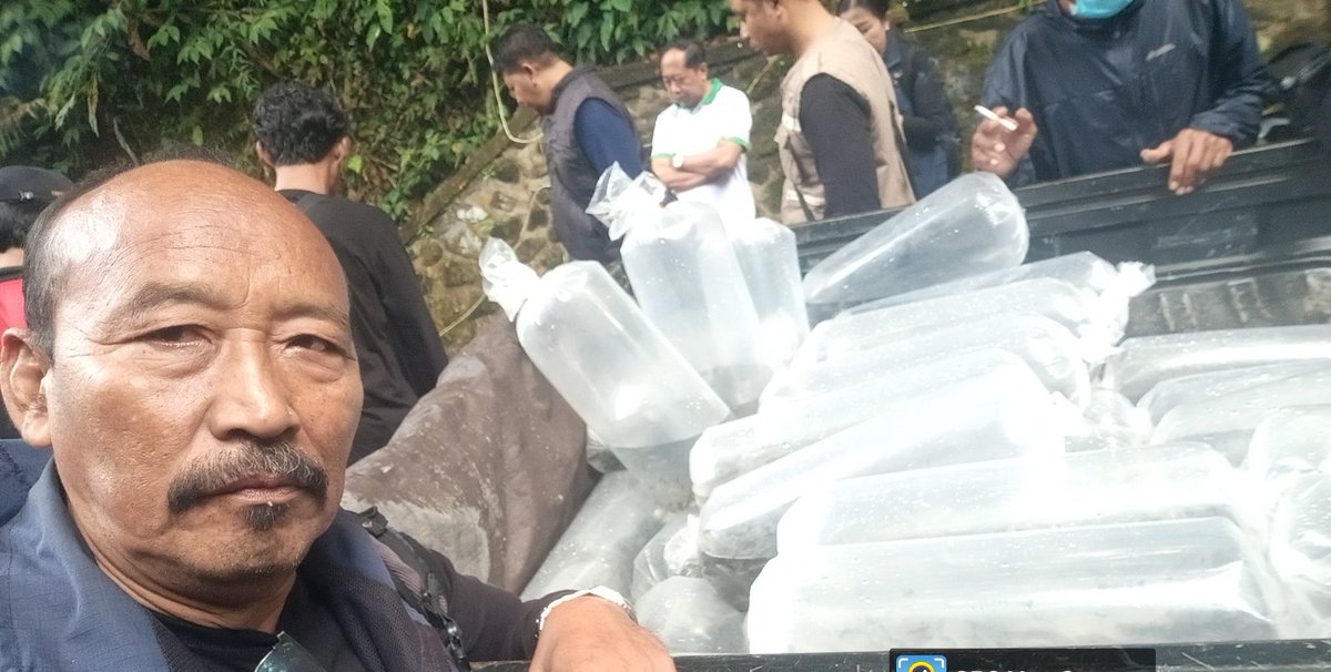 paramarta080's tweet photo. Jumat (1/11),I Gede Putu Paramarta,Luhkan Kab Bangli di POKDAKAN Merta Sari Depayuk Desa Apuan, mendampingi Panen Benih nila 10.000 ekor, ukuran 9 cm,luas kolam  300,dengan harga 500/ekor
#GiatLuhkanSatminkalGONDOL 
#Bangli
#Panen
@bppsdm_puslatkp 
@bppsdm_gondol https://t.co/cyBALGz8aI