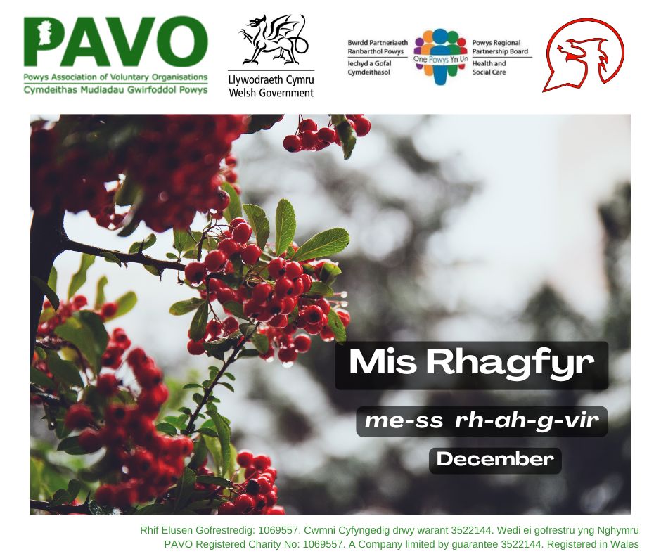 Ymadroddiad yr wythnos hon. 
This week's phrase. 

#ycynnigrhagweithiolpowys #theactiveofferpowys #dysgucymraeg #siaradcymraeg #pavopowys