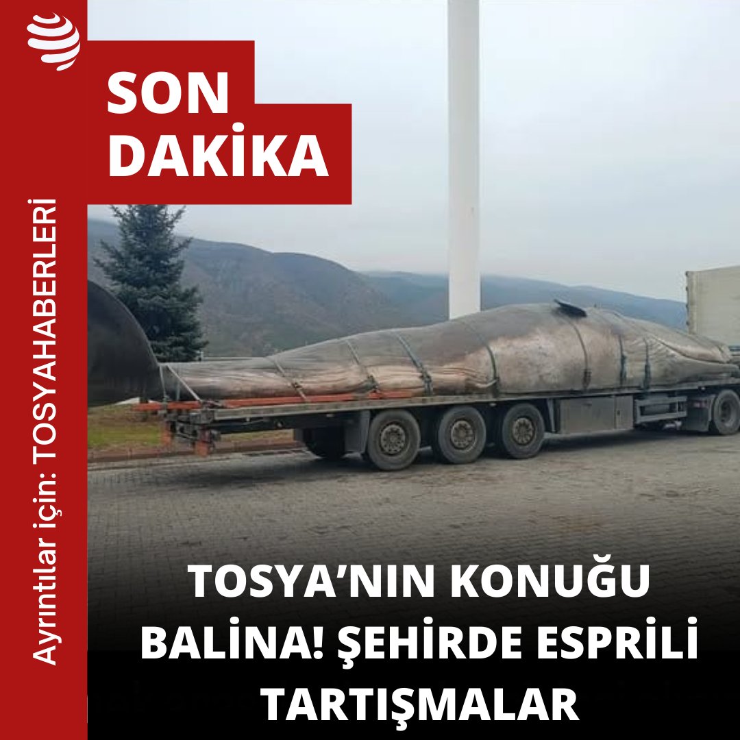 habertosya's tweet photo. Gerçek mi Yapay mı? Tosya’da Balina Heyecanı.
Tosya Ünal Tesisleri’nde bir TIR’ın arkasında görülen dev balina, görenlerde şaşkınlık yarattı. https://t.co/MJqIX33ofU