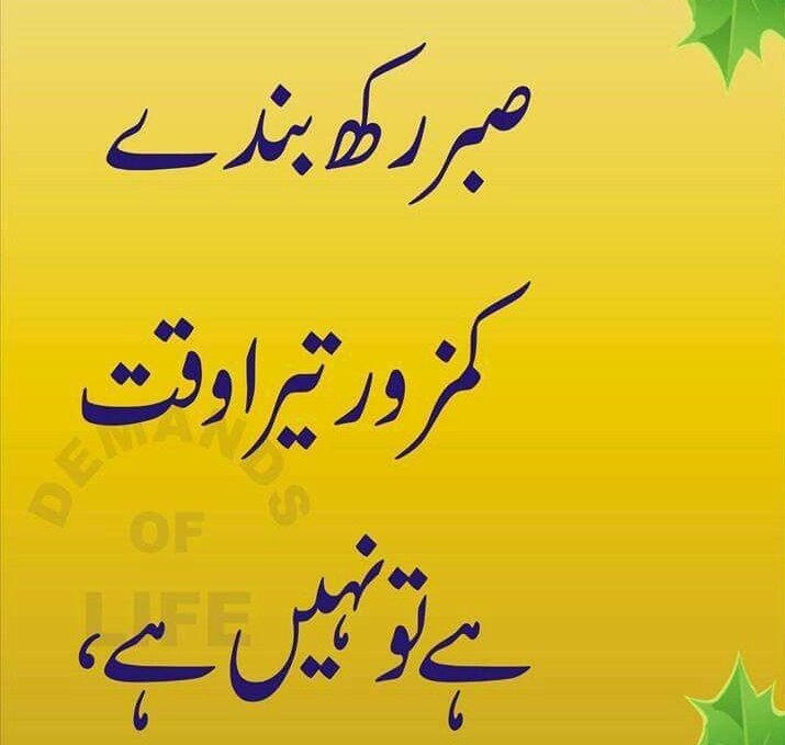 #P_PTi @00munsif
<a href="/MNPTi1/">𝙈𝙪𝙣𝙨𝙞𝙛 🫶 ابوسلم ≛⃝🔶</a> <a href="/NM1k_/">༺ 💎𒆜𝑵𝑬𝑬𝑵𝑨𝑯𒆜💎 ༻</a>
<a href="/As_t40/">EriKaCao</a> <a href="/Y22NY/">YASEEN</a>
<a href="/P_PTi4/">𝐍𝐨𝐬𝐡𝐞𝐞𝐧 𝐀𝐮𝐫𝐚𝐧𝐠𝐳𝐚𝐢𝐛 ‎ᵀᵉᵃᵐˢᵒᵏ</a> <a href="/P_PTi3/">𝙈𝙪𝙣𝙨𝙞𝙁 𝐏𝐑𝐎𝐌𝐎𝐓𝐄𝐑</a>
F🔙
@br6n_
<a href="/7j00l/">𝓝𝓪𝔃𝓲𝓶 𝓐𝓵𝓲</a>
<a href="/skiii7i/">S khan</a>
<a href="/ik_553/">.⃝ ⃝ ⃝ ⃝ ⃝💛マスカン 𝐌𝐮𝐬𝐤𝐚𝐧💖. ⃝ ⃝ ⃝ ⃝ ⃝ ⃝💚</a>
<a href="/4_4mir/">Aamir Hayat Awan</a>
<a href="/Dni_40/">Daniyal</a>
<a href="/B_Ali11/">✯𝓐𝓛𝓘 𝓚𝓗𝓐𝓝 𝓑𝓐𝓝𝓖𝓐𝓢𝓗✯🇵🇰🇺🇸 ⚔️🦌</a>
<a href="/S__Rizi/">​ ​​🇸💙​🇷</a>
<a href="/shz787/">🌟⭐️🌟🌟sʜᴀʜᴢᴀᴅ ᴍᴜɴɪʀ🌟⭐️🌟⭐️</a>
<a href="/nbea_h/">#𝕾𝖚𝖕𝖊𝖗𝕱𝖗𝖎𝖊𝖓𝖉𝖘 #𝕿𝖔𝖕𝕱𝖗𝖎𝖊𝖓𝖉𝖘</a>
<a href="/R1_Adv/">Ridwan R1🇮🇩</a>
<a href="/Aa_ban1/">▄︻ #TmGriffins🦅︻▄</a>
<a href="/bashri_0/">Mubaشr💫</a>
<a href="/sam_8ei/">AslamSameer</a>
<a href="/zimal293/">🦋𝐑ᴀsʜɪᴅᴀʜ🦋</a>
<a href="/qrat78741/">قراة العين🐦</a>
<a href="/zubm9231/">ZUBAIR Muhammad</a>
<a href="/zubairk00/">zubair Khan</a>
@Baaghi_786
<a href="/kaptain369/">Kaptain Jan</a>
<a href="/CarloSportfan/">SportISmyLIFE ⚽⚾🏀🏐🏈🎾🎳🏏🏓⛳</a>
<a href="/JanKaptain804/">KaptaiN JaNTʰᵘⁿᵈᵉʳ Sᑫᵘᵃᵈ</a>