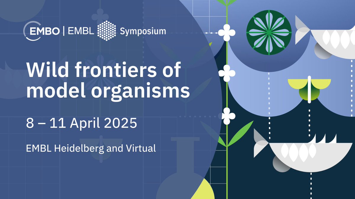 📢 Make sure to sign up for #EESWildModels! 🌏🔍

'Wild frontiers of model organisms' is a brand new EMBO | EMBL Symposium:

➡️ showcasing how exploring the wild frontiers of model systems is increasing our understanding of the biology, ecology and evolution of organisms, ranging