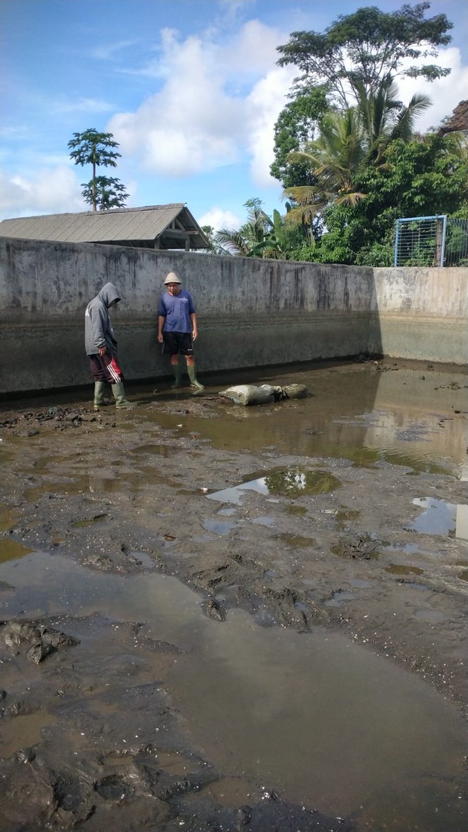paramarta080's tweet photo. Selasa,(5/11),I Gede Putu Paramarta,Luhkan Kab.Bangli di POKDAKAN Mina Tirta Lestari Desa Sulahan,mendampingi panen benih nila sebanyak  35000 ekor,ukuran 1 cm,luas lahan 200 M2,dengan harga 20/ekor
#GiatLuhkanSatminkalGONDOL 
#Bangli
#Panen
@bppsdm_gondol 
@bppsdm_puslatkp https://t.co/ynEDBXQe8j