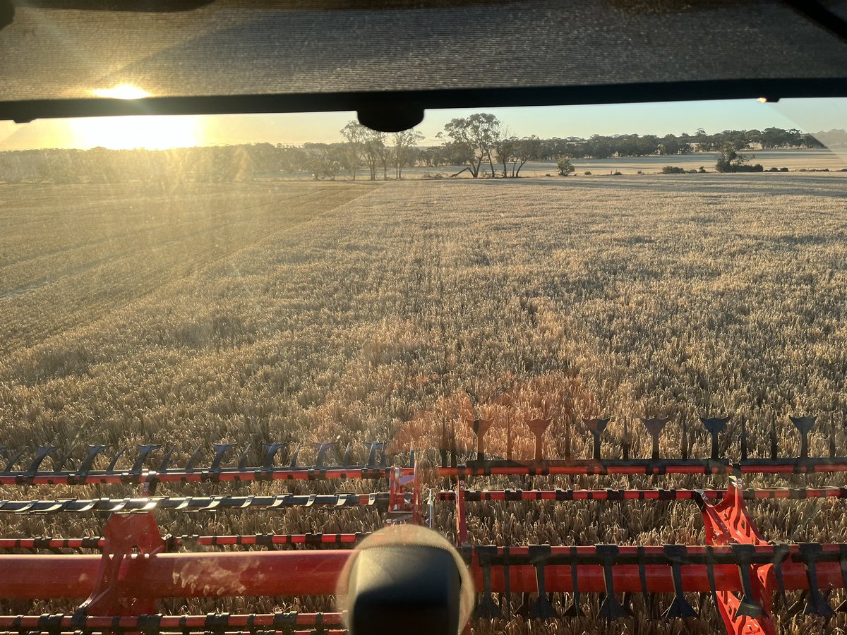 Crazy Jespersen tweet media