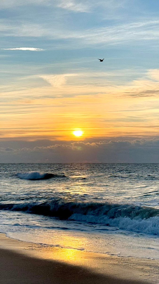 Long_island_nys's tweet photo. #localphotographer Klara Nemeti #localphotography of #robertmosesbeach #longislandny #beachlife #oceanview https://t.co/tsw9vCtW23