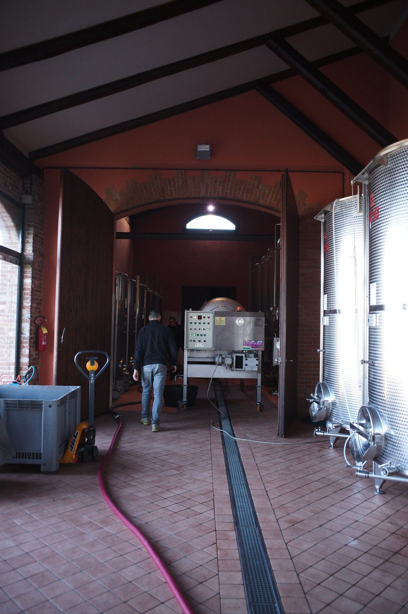 cognowines's tweet photo. Our future Barolo 2024s have been racked!
After a long period of submerged cap maceration, the wines have reached the time of racking. We are only at the beginning of what will be a long period of vinification.
#cogno #cognowines https://t.co/OI5tClbIw6
