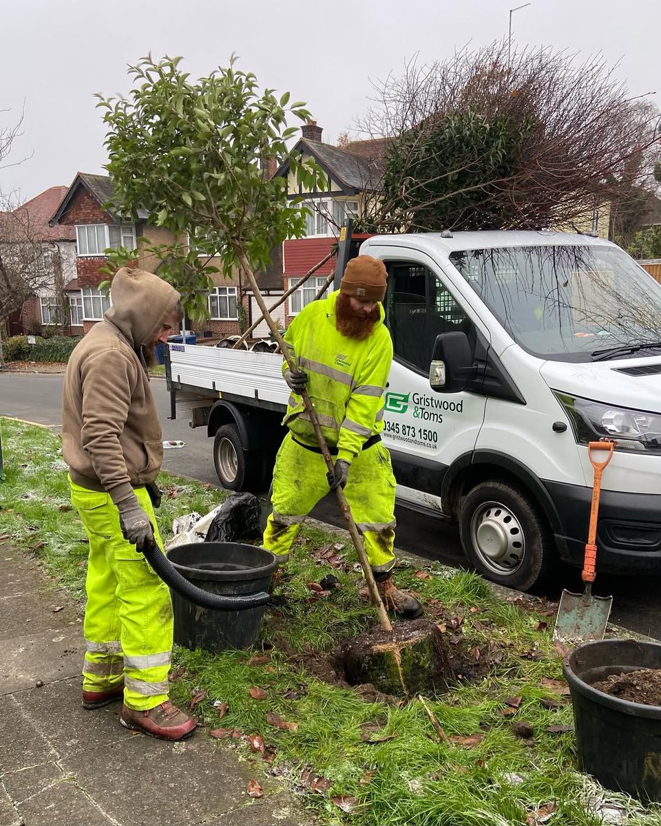 ❄️Winter is the ideal planting season because trees are dormant 😴, they suffer less stress💆 and they can focus on root development 💪

Planting now gives our trees the best chance for a successful growing season in spring and summer 2025 🌳