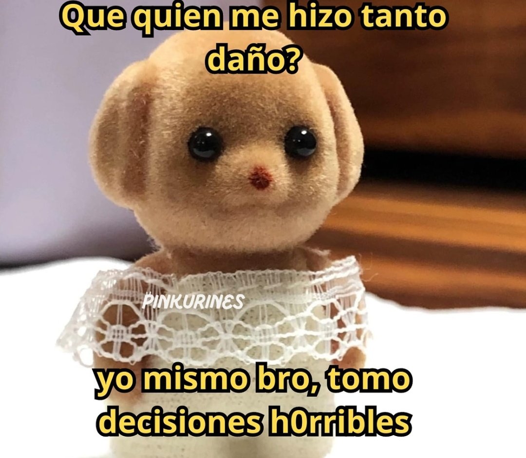 MiniAnimales's tweet image. 