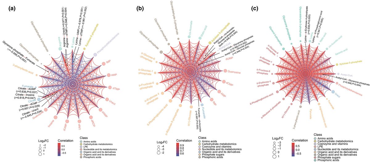NewPhyt's tweet image. Dynamic #evolution of #microalgae
📖 nph.onlinelibrary.wiley.com/doi/10.1111/np…
by Wu et al.
@WileyPlantSci #PlantScience