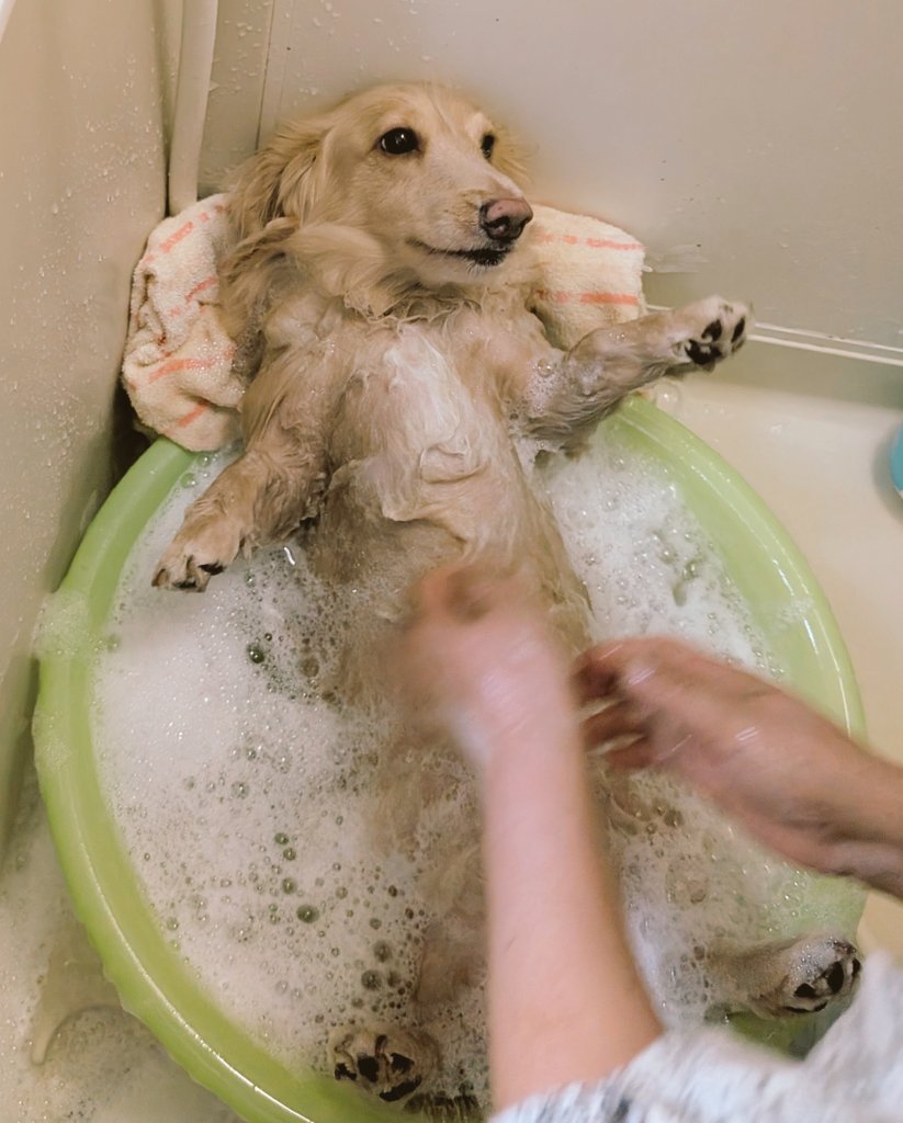 らきぐり tweet media