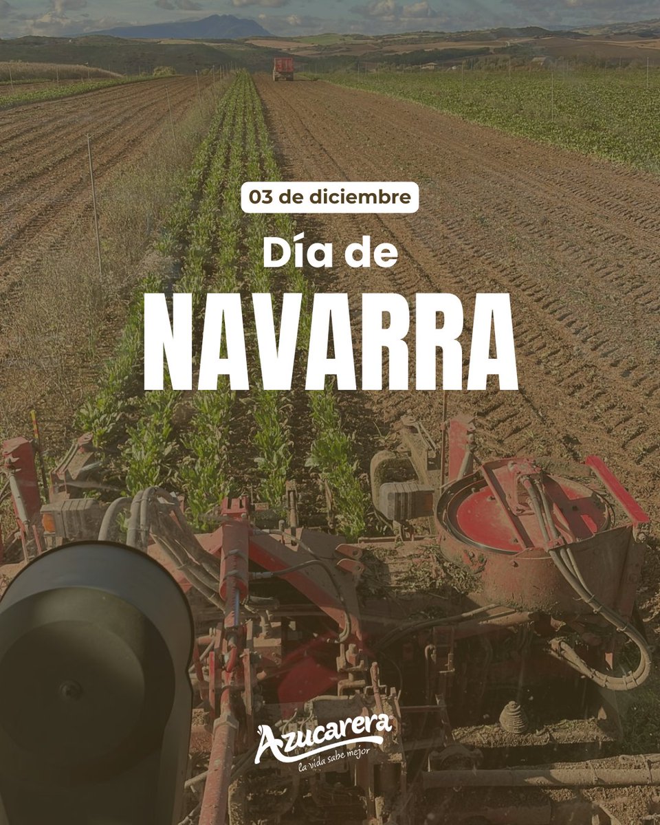 Así de bien está la remolacha azucarera por Navarra📍. Feliz #díadeNavarra a todos/as los/as navarros/as, y especialmente a nuestros/as remolacheros y remolacheras 🤩🤩🤩