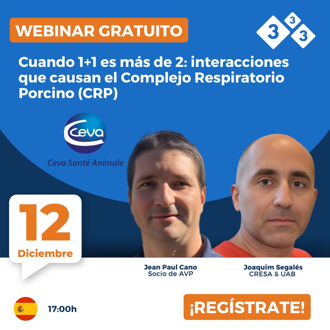 3tres3.com tweet media