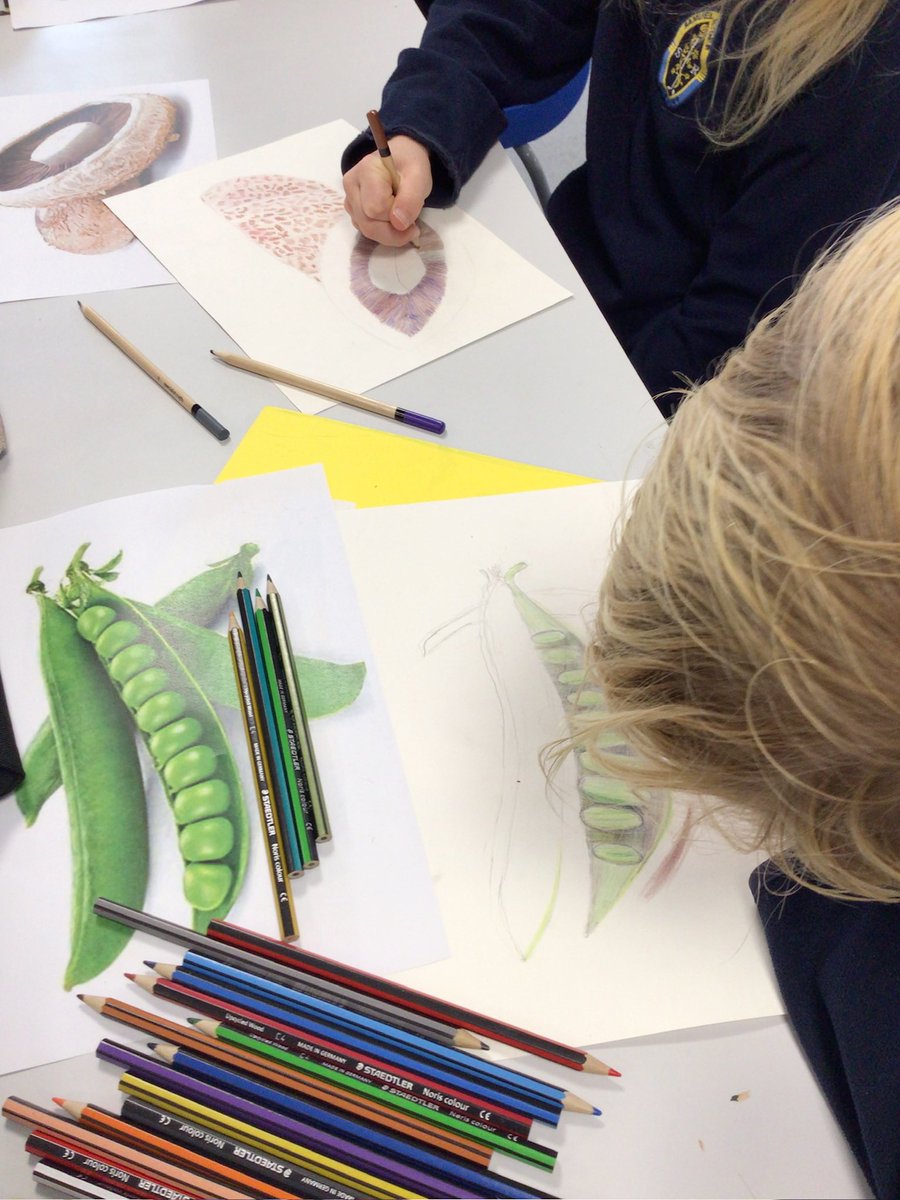 SRA_Art_'s tweet photo. Our current year 6 students are showing such superb drawing skills using coloured pencils, as usual. Well done year 6! https://t.co/Cwy9y9xlV5