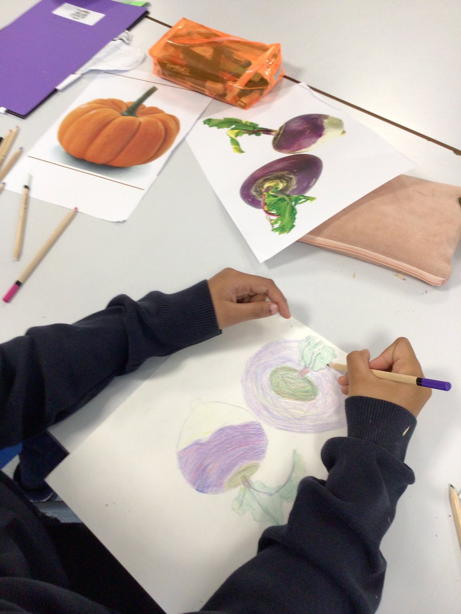 Our current year 6 students are showing such superb drawing skills using coloured pencils, as usual. Well done year 6!