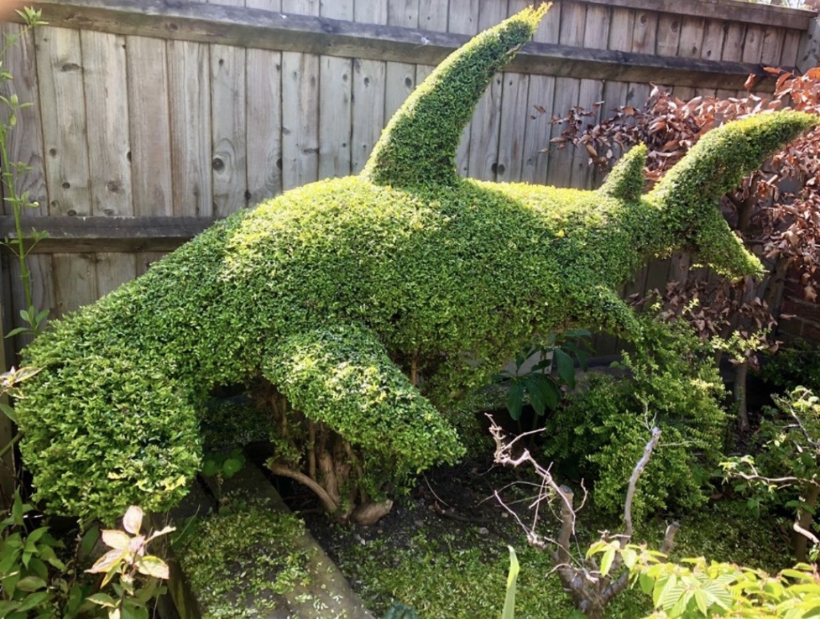 Given full creative reign, after being inspired by a trip to New York, Jethro has created an incredible NY skyline. 🌆
After going open-water diving with sharks on the Great Barrier Reef, he also created this hammerhead shark. 🦈
#topiarytuesday #henchmantopiaryawards #topiary