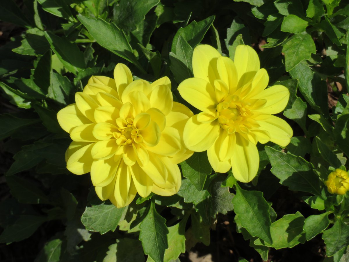 "Be good to people for no reason." ~ #unknown #thinkingoutloud #quickquotes #TuesdayThoughts #BeGood #reason