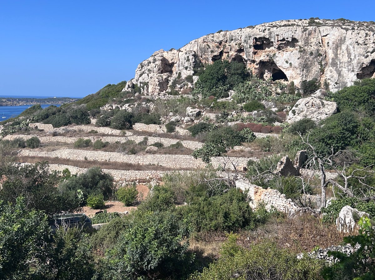 (1/11) I am very happy to announce that I have been awarded a European Research Council ‘Consolidator Grant’. The TerraForm project (‘The Rise and Fall of Maltese Terraced Landscapes’) will begin in the spring of 2025.