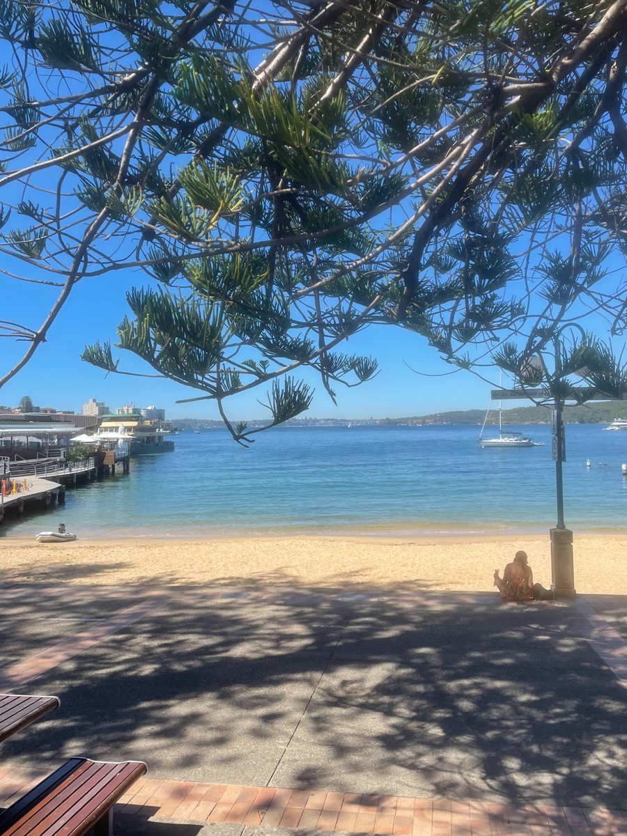 Here’s an actual, non-AI picture of Sydney yesterday. Things are okay