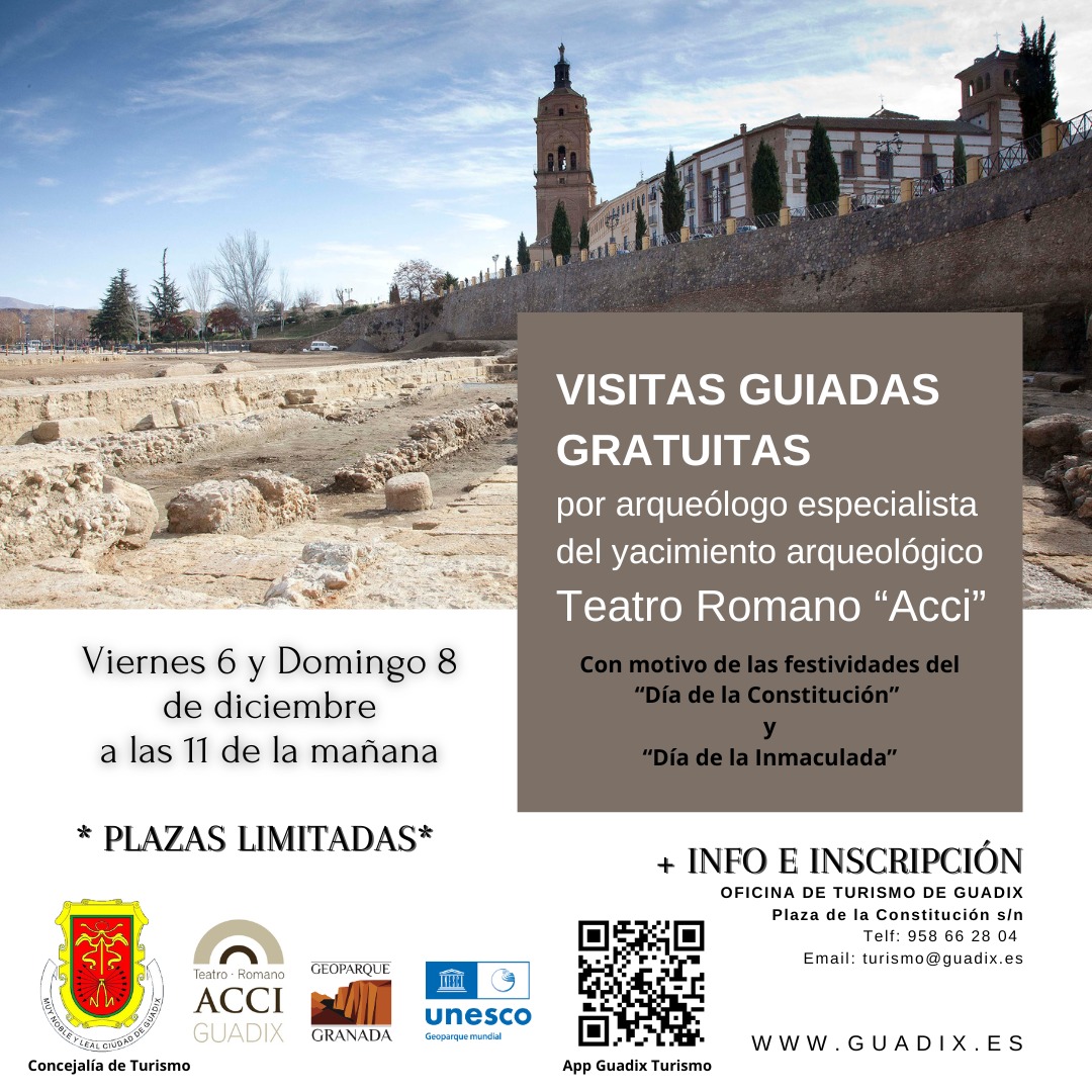 Visitas gratuitas al Teatro Romano “Acci” en #Guadix con el arqueólogo especialista.

Serán el viernes 6 y el domingo 8 de diciembre, a las 11:00 h.

Plazas limitadas.

Reservas en la Oficina de Turismo de Guadix:
Plaza Constitución s/n
Telf: 958 66 28 04
Email: turismo@guadix.es