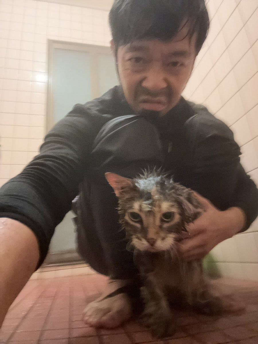 21__gram's tweet photo. 小鳥遊を風呂に入れたらうんちされました。

2個も。

悲しいです。

#ねこ https://t.co/b8t05SzrGg