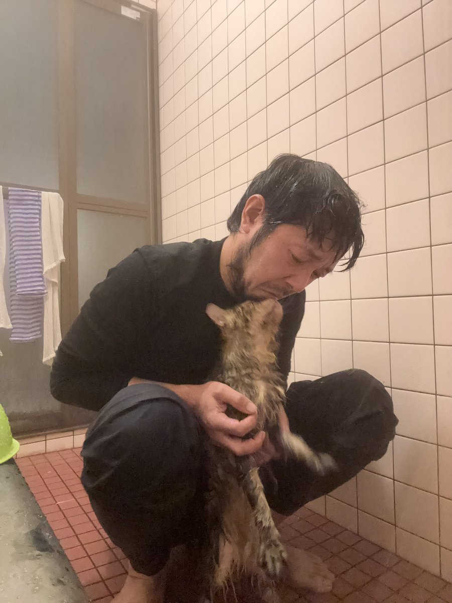 21__gram's tweet photo. 小鳥遊を風呂に入れたらうんちされました。

2個も。

悲しいです。

#ねこ https://t.co/b8t05SzrGg